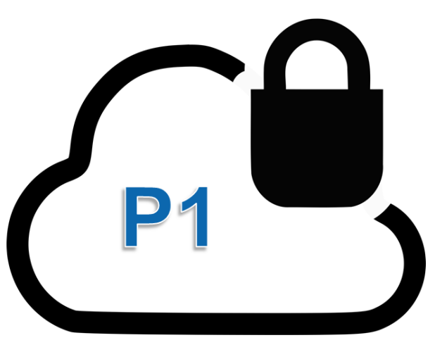 P1